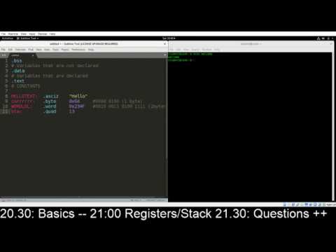[Stream Archive] Assembly x64 (AT&T) #Programming