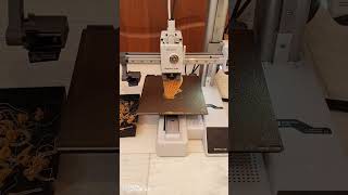 Owl toy timelapse 🦉 owl on a 3D printer The result of 3 hours of owl printing # #3danimation #shorts