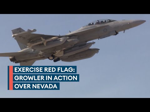 澳大利亚EA-18G"咆哮者"雷达干扰机实机导览（BFBS Forces News）