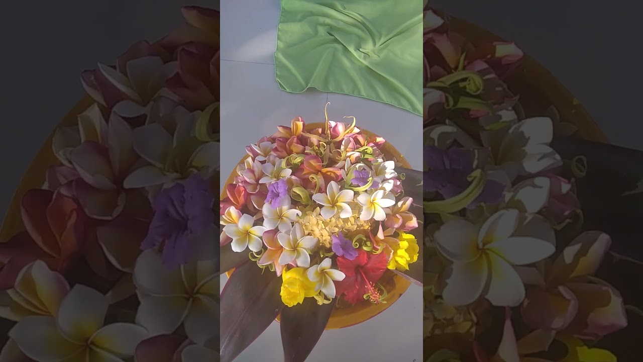 Space for morning balancing ritual and my music performance, Bali flowers - frangipani and yang yang