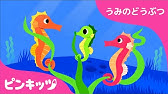 かわいらしいタツノオトシゴとクラゲの描き方 How To Describe Sea Horse And Jellyfishes Youtube かわいらしいタツノオトシゴとクラゲの描き方 How To Describe Sea Horse And Jellyfishes Youtube