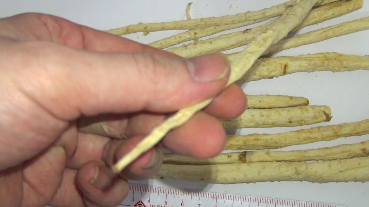 南沙參 @ 中藥材展示與記錄 - Adenophora tetraphylla - Chinese Materia Medica Illustration and Record