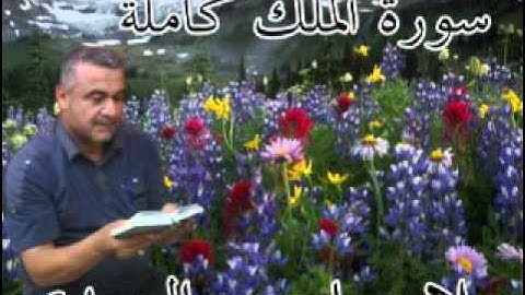 سورة الملك كاملة =هديتى الى ارواح امواتكم اخوانى واخواتى الاطهار =ملا صاحب العبيدى