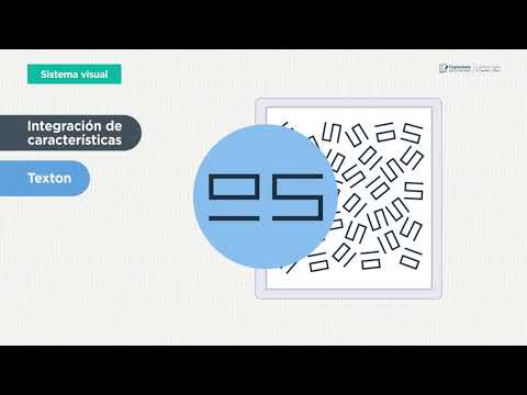 Curso de Visualizador de datos 8