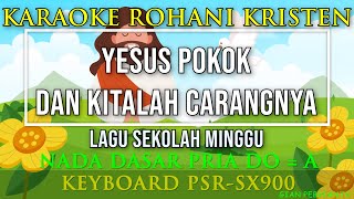 YESUS POKOK DAN KITALAH CARANGNYA NADA PRIA | LAGU SEKOLAH MINGGU,LAGU ROHANI,LIRIK, HD| PSR-SX900