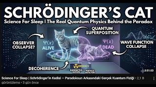 Schrödinger’s Cat | The Real Quantum Physics Behind the Paradox