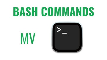 Bash Commands - mv command