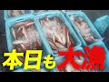 大漁続きの日々に感謝...本日の魚種はいかに！？