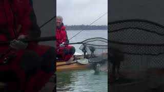 Giant Lake Trout just Caught by Mantronic! #shorts #happynewyear