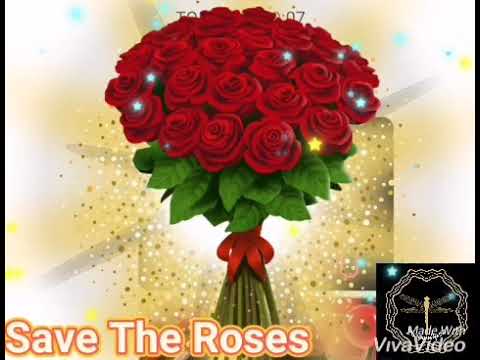 lee brice save the roses lyrics