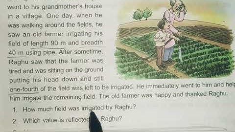 Area Value Based Question