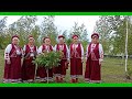Ой вербо 