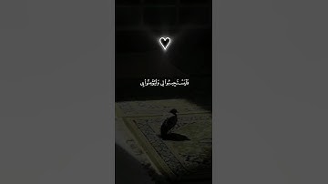 اكتب شيء تؤجر عليه 😴🩶 | قران كريم | فارس عباد