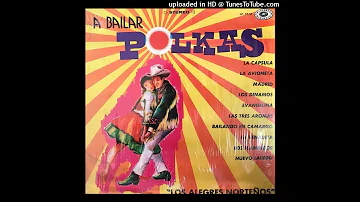 Los Alegres Norteños - A Bailar Polkas LP