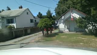 driving in Vancouver island July 19, 2022