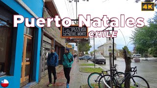 Puerto Natales, Chile 🇨🇱 A Walk in Patagonia - Virtual Walking Tour 4K60fps