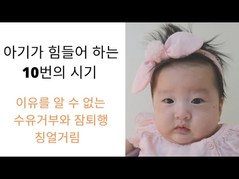 원더윅스 1편, 정신적 도약기, 신체적 급성장기 | 신생아~3개월까지 | Wonder Weeks - What to expect on baby 0-12weeks