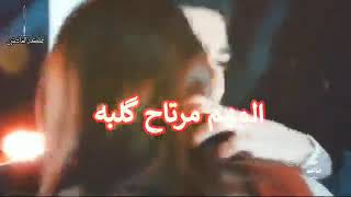 محمد الفارس 2020 - المهم