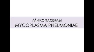 МИКОПЛАЗМЫ. MYCOPLASMA PNEUMONIAE. МИКОПЛАЗМЕННАЯ (АТИПИЧНАЯ) ПНЕВМОНИЯ.