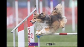 Vlogs4Dogs - Royal Canin Masters 2021