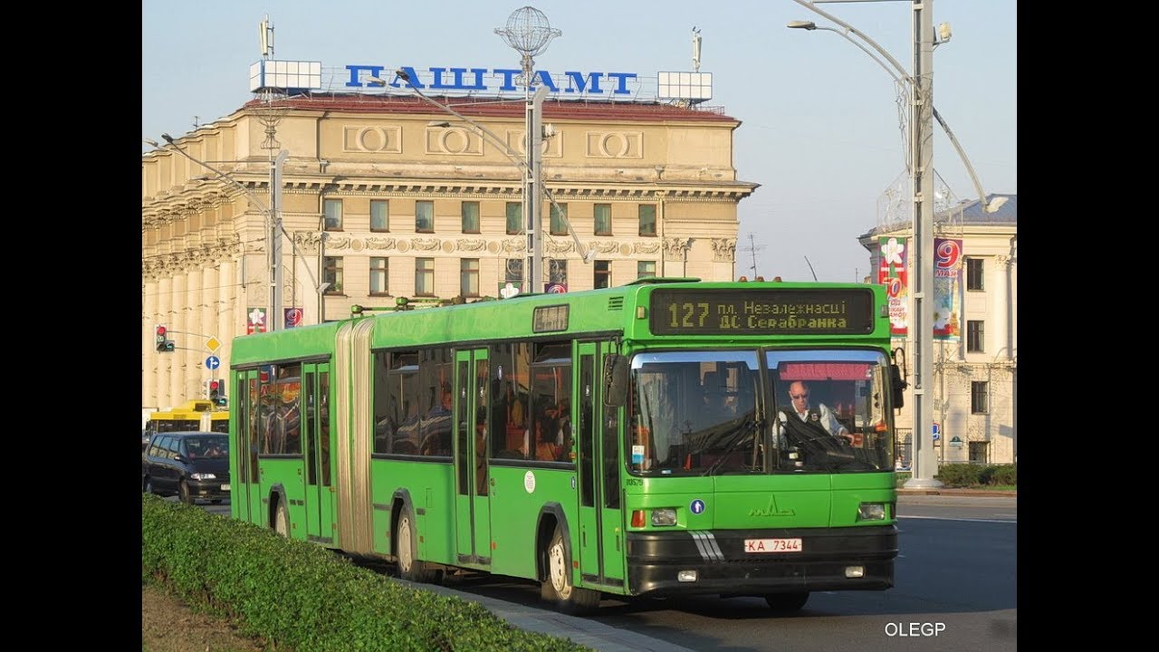 54 автобус минск. Минск автобус. Общественный транспорт Минска. Минск 127. Белорусский 44 автобус Минск.