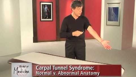 Carpal Tunnel Syndrome Part 1: Wrist Anatomy