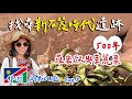 【非洲納米比亞｜Day.8】荒蕪絕境：植物化石公園&amp;岩刻壁畫：頹廢方舟 【Africa Namibia｜Day.8】Petrified forest &amp; Twyfelfontein