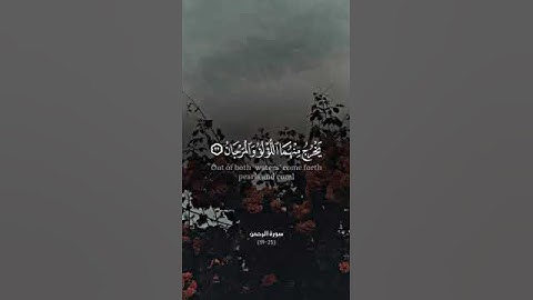 تلاوة جميلة من سورة الرحمن القارئ احمد عباس البلوشي