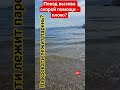 Познакомились по интернету? #здоровыйдух #выздоровление #здороваяэнергия ##ракпобедим