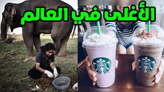 أغلى مشروب في العالم | قهوة روث الفيلة