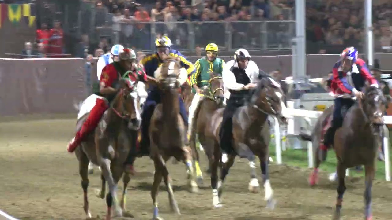 Corse al Palio 2024 Corsa cavalli