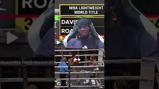 what a beauty #boxing #gervontadavis #lamontroach #fyp #shorts #funny