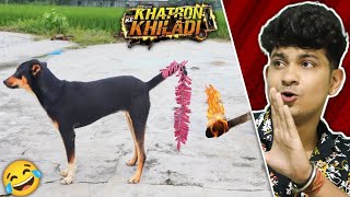 जब खतरों के खिलाड़ी में आ गये DOG भाई! FUNNIEST ANIMAL COMEDY VIDEOS CAUGHT ON CAM 20