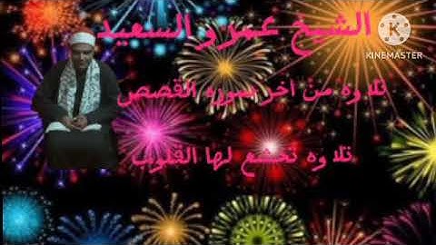 القارئ الشيخ عمرو السعيد القارئ بجمهورية مصر العربية ما تيسر من اخر القصص