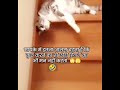 🤣🤣🤣 #yt #funny #comedy #viral #shortvideos #trending #shorts#funny