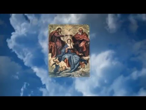 скачать селин дион клипы