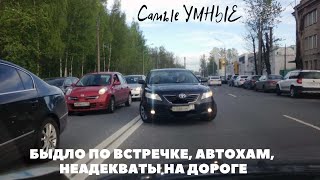 видео: БЫДЛО ПО ВСТРЕЧКЕ, АВТОХАМ, НЕАДЕКВАТЫ НА ДОРОГЕ картинка: БЫДЛО ПО ВСТРЕЧКЕ, АВТОХАМ, НЕАДЕКВАТЫ НА ДОРОГЕ