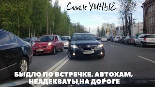 БЫДЛО ПО ВСТРЕЧКЕ, АВТОХАМ, НЕАДЕКВАТЫ НА ДОРОГЕ