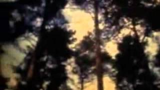 Baya Kasmi Et Michel Leclerc - De Bénisaf À Salonique