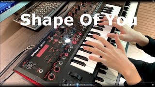 Ed Sheeran - Shape Of You l JDXi x FP90 By Yohan Kim chords