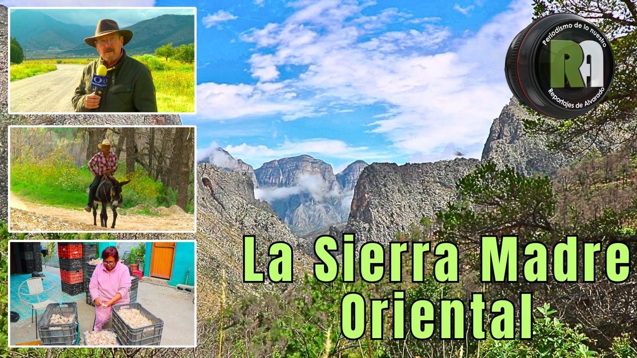 La Sierra Madre Oriental | Reportajes de Alvarado | Viernes 27 de Febrero 2026  | Televisa Monterrey