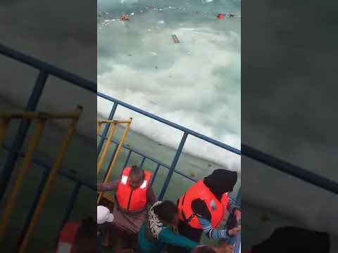 Video: Kapal siapa yang berada dalam penyeberangan haiwan?