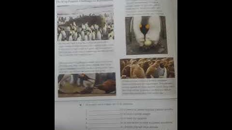 English Listening Pathways 3