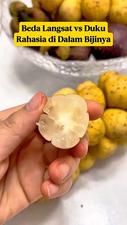 The Difference Between Langsat and Duku⁉️The Secret in the Seeds‼️ #Shortsviralglobal #LangsatVsD...