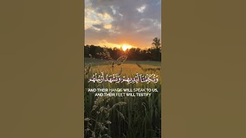 تلاوة خاشعة للشيخ ناصر القطامي🌷 #غزة_تجوع  #المصحف