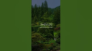 يأيها الذين آمنوا اركعوا واسجدوا واعبدوا ربكم وافعلوا الخير لعلكم تفلحون ...من #سورة_الحج