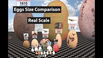 Eggs Size Comparison | Fictional Character Eggs like Godzilla | Biggest Eggs