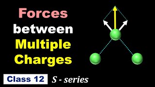 Forces between Multiple Charges || in English for Class 12