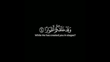{ ما لكم لا ترجون لله وقارا } القارئ ياسر الدوسري - سورة نوح | كروما قرآن شاشة سوداء
