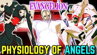 Physiology of Angels in Neon Genesis Evangelion Explored - Where They Came From, How They Were Born?